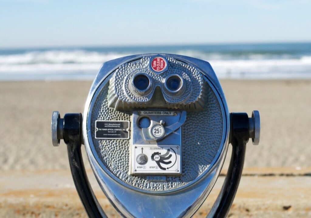 small business coaching to help you see the bigger picture